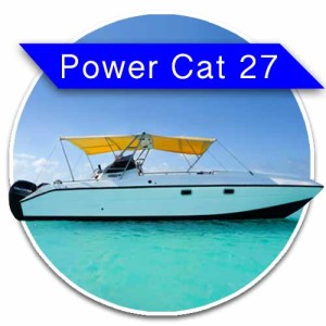 Power cat 27